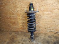 Federbein links hinten Stodmpfer Feder<br>BYD E6Y