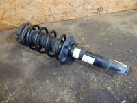 Federbein vorne links <br>VW PASSAT VARIANT (3C5, B6) 2.0 TDI 16V