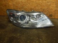 Hauptscheinwerfer rechts Halogen Facelift<br>SKODA OCTAVIA II COMBI (1Z5) 1.6 TDI 4X4