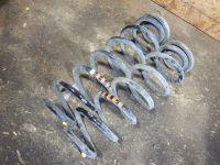 Federsatz hinten Feder links rechts 4-Motion<br>VW GOLF V VARIANT (1K5) 1.9 TDI 4MOTION