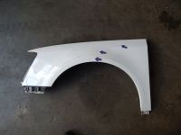 Kotflgel vorne links <br>VW PASSAT VARIANT (3C5 B6) 2.0 TDI 16V