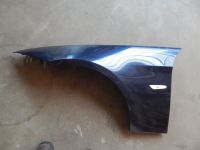 Kotfl�gel vorne links <br>BMW 3 (E90) 320I