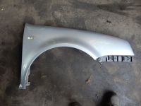 Kotfl�gel vorne rechts <br>VW GOLF IV (1J1) 1.9 TDI