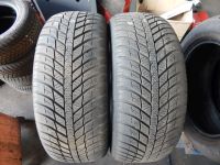 Ganzjahresreifen 205/55 R16 91H 1 Satz (je 2 Stück)